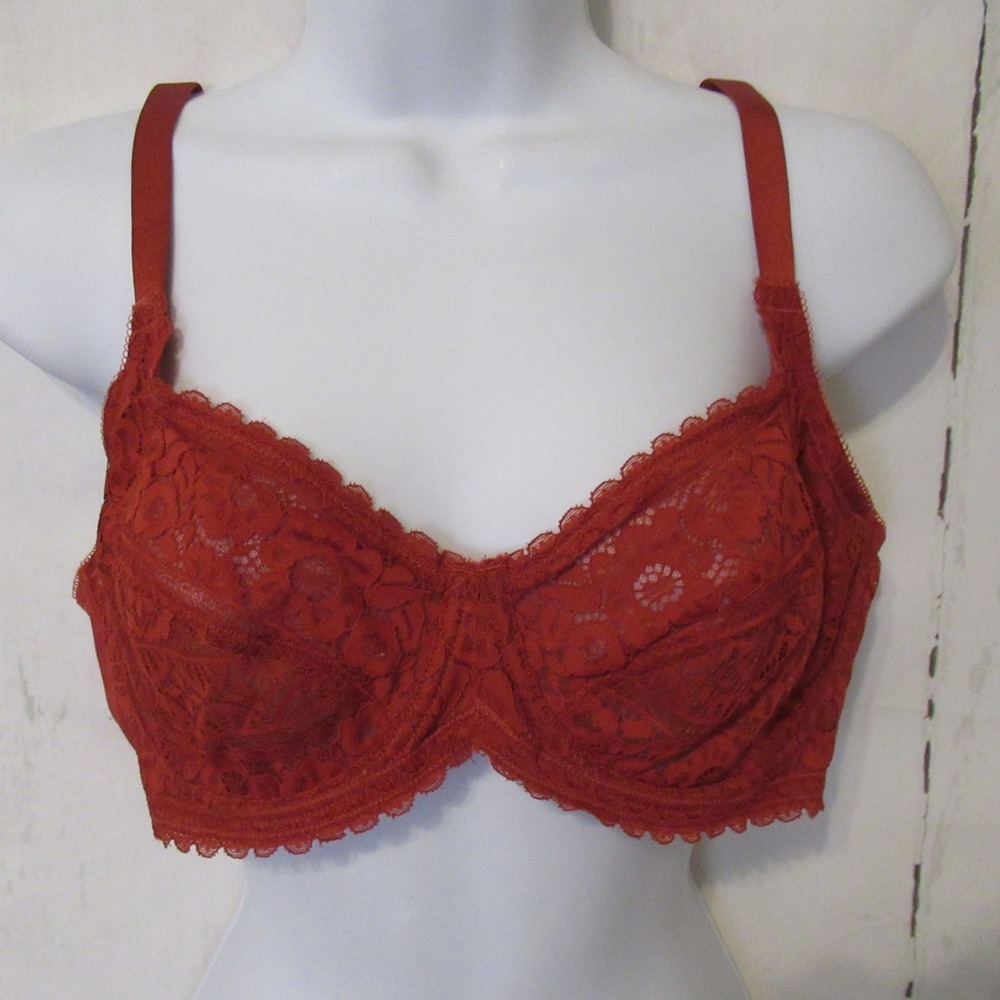 HSIA Bra 36C Rust Lace Sheer Back Closure Underwire